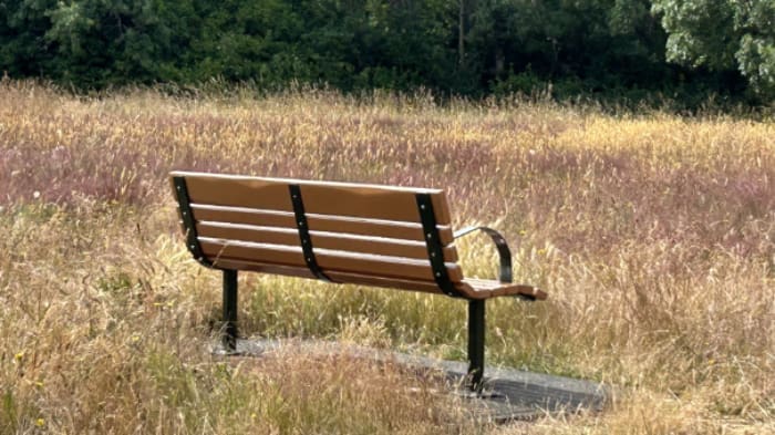 Reports from fellow Portland creatives who have tried The Clarity Blueprint